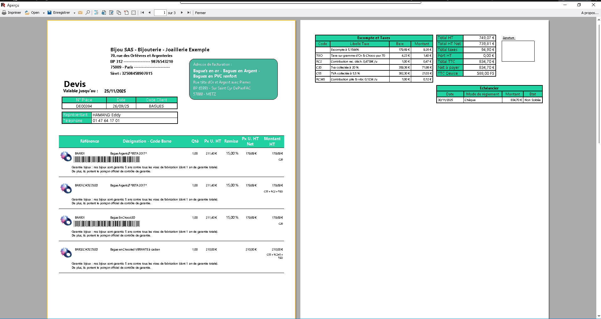 Aperçu – rendu du rapport